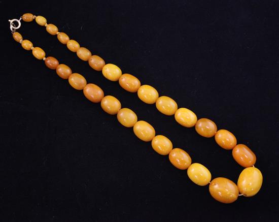 A single strand graduated amber bead necklace, 18in.